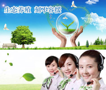 �P(gu��n)���҂�